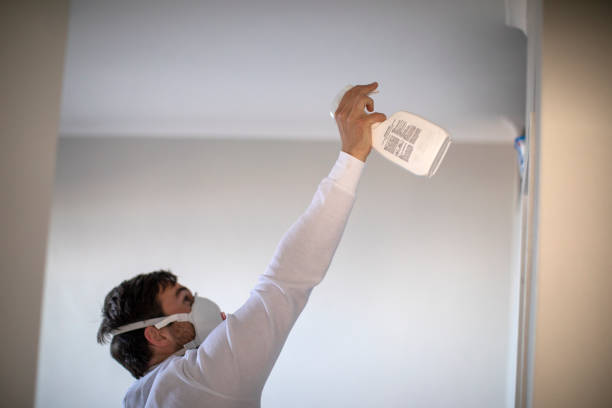 Best Fast Mold Removal  in Brewster, NY